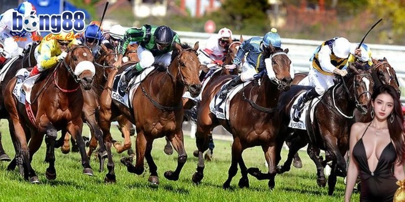 Đa dạng kèo cá cược đua ngựa tại nhà cái