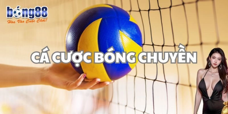 Giới thiệu kèo cá cược bóng chuyền cực hay tại nhà cái