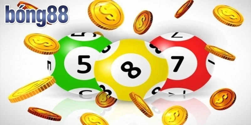 Những loại hình phổ biến