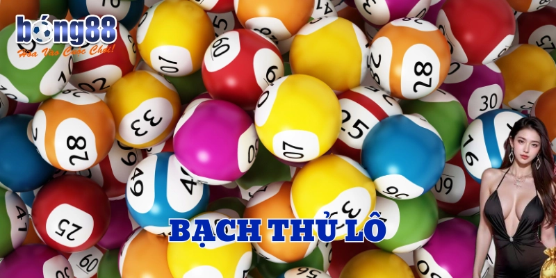 Bạch Thủ Lô thích hợp cho những ai