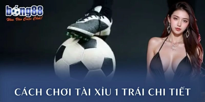 Cách chơi tài xỉu 1 trái chi tiết